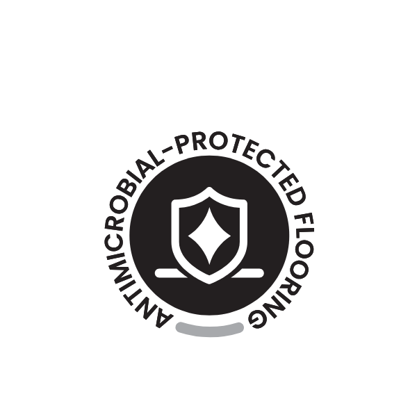 Shield icon