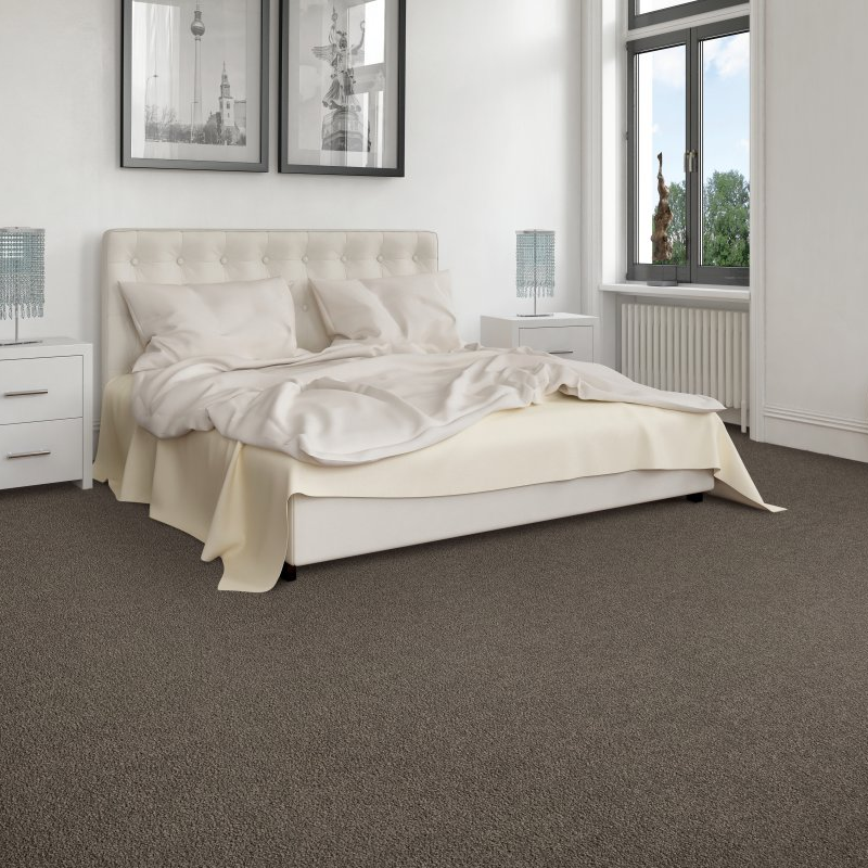 Apollo Flooring providing easy stain-resistant pet proof carpet in Tucson, AZ - Impressive Option II-Celestial