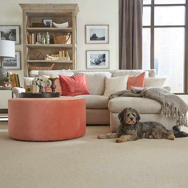 get in touch with our experts from Apollo Flooring Center in Tucson, AZ
