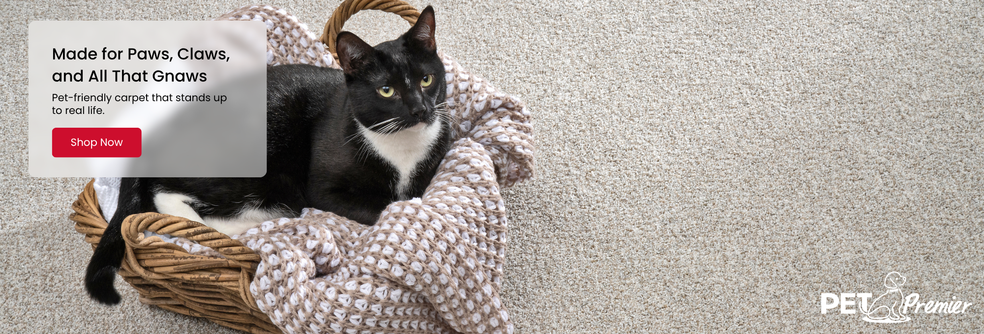 Browse Mohawk Flooring's Pet Premier Carpet